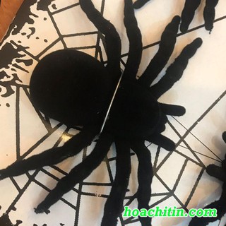 Nhện Nhung Lớn Size 10 x 17cm ( Vỉ 2 con)