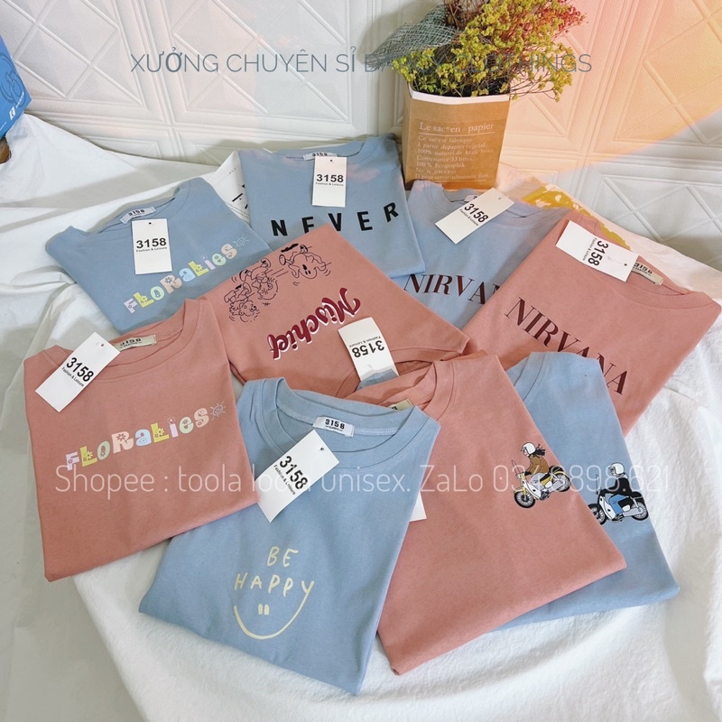 áo thun màu pastel dễ thương ✨ FREESHIP ✨ áo thun 3158 cotton unisex