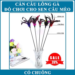 Cần Câu Mèo Có Chuông - DC2103