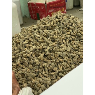 100g củ tam thất bắc loại 52 củ