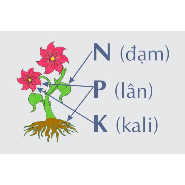 Phân Bón NPK Phát Triển Thân, Lá, Cành, Bộ Rễ MINRO 30-9-9