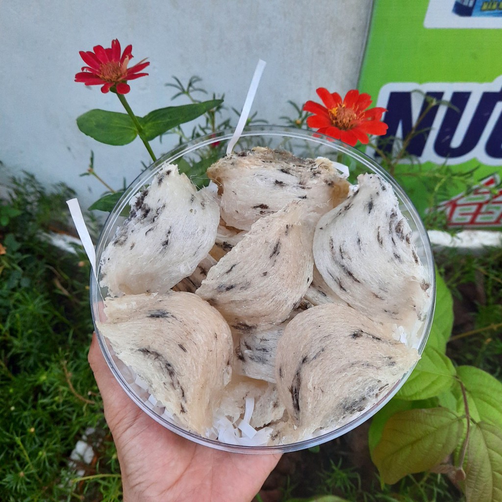 [100gr] Tổ yến thô loại VIP rất ít lông Tặng kèm Táo đỏ - Đường phèn - Hạt chia