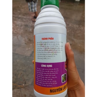 chế phẩm sinh học Humic đậm đặc (1 lít)