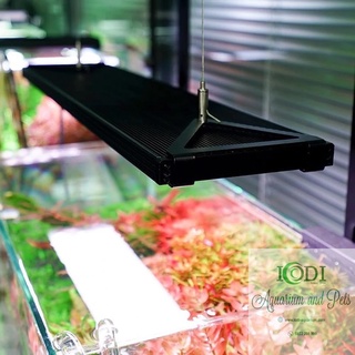 Bộ Kít Treo Đèn Chihiros Bể Cá Cảnh Bể Thủy Sinh