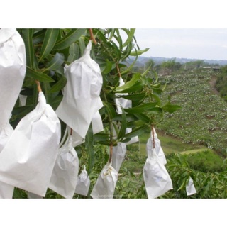 Túi giấy bao xoài (sl 100) độ bền cao 20x30cm