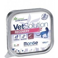 Monge VetSolution Cat Recovery 100g- Paté Hỗ Trợ Phục Hồi Trong & Sau Khi Bệnh Cho Mèo