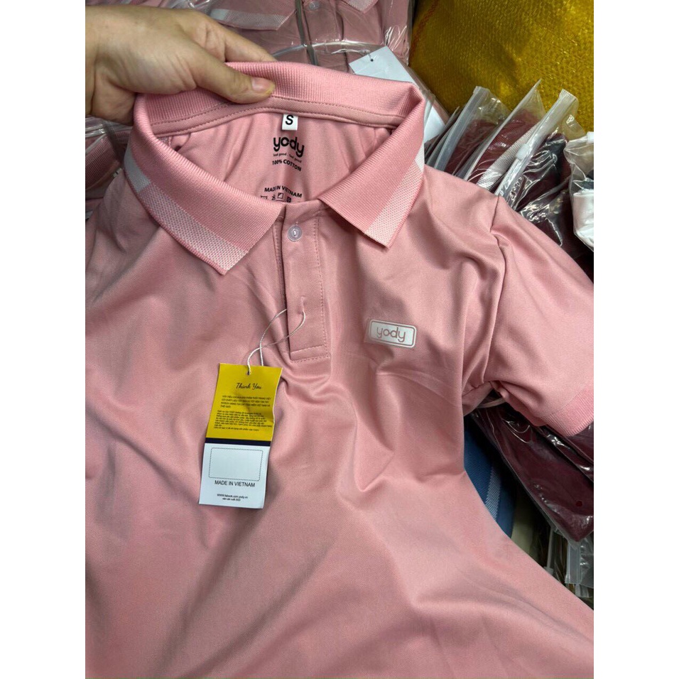 Áo polo yody cotton cho bé và gia đình