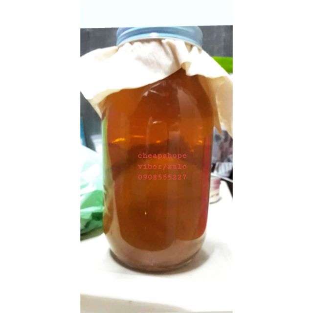 COMBO SCOBY KOMBUCHA+10 BAO LÌ XÌ 2021