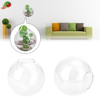 Bình hoa treo tường trang trí