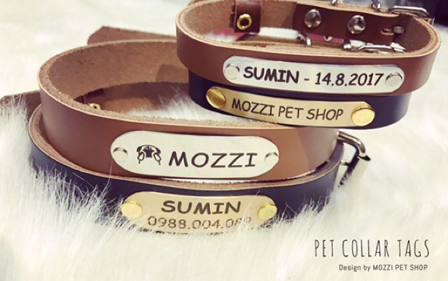 Pettag Mozzi - Dây da gắn tag dành cho thú cưng
