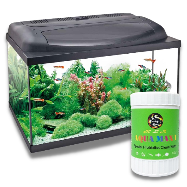 Men Vi Sinh Cao Cấp AQUA MAX I - Giúp Hồ Cá Mau Trong, Xử Lý Tanh Hôi, Cân Bằng PH