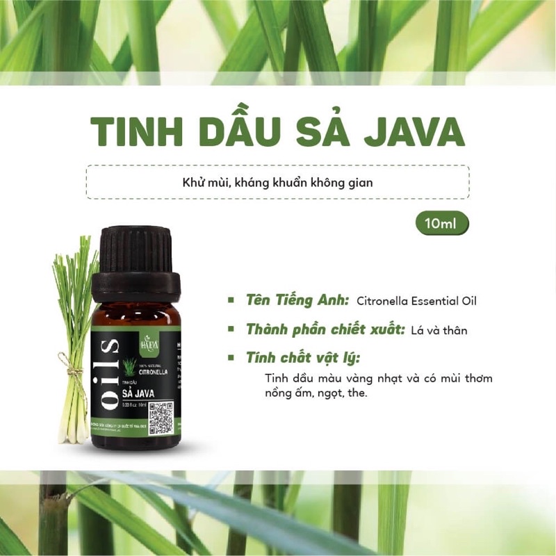  Tinh dầu hương Sả Java Haeva 10ml 30ml 100ml