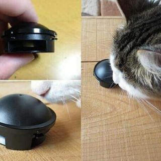 HỘP 12 Viên Thuốc diệt Gián Nhật Bản - viên thức ăn đuổi gián bù