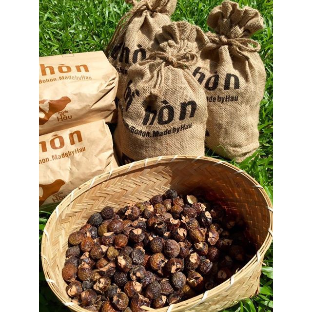 Bồ Hòn Made By Háu