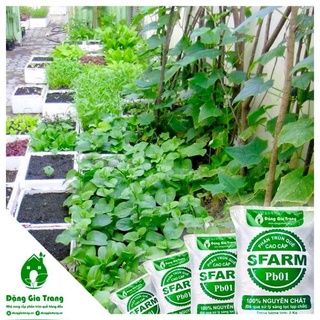 Phân trùn quế Sfarm PB01 5kg dạng bột