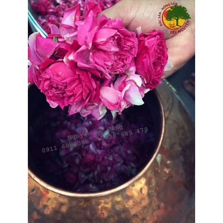 TONER HOA HỒNG (Handmade)