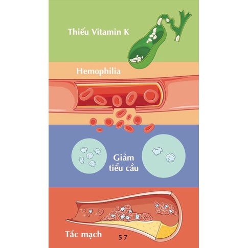 Sổ tay FA sinh lý máu