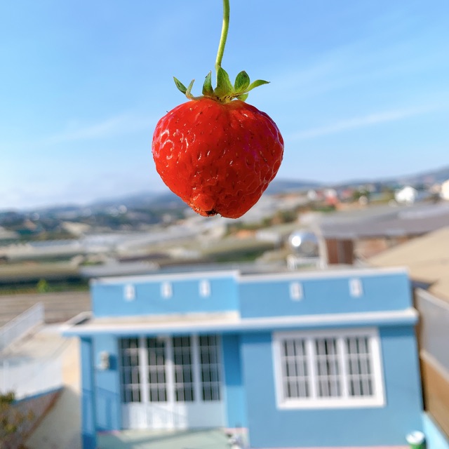 rubyngoc_tongkhosigiatot