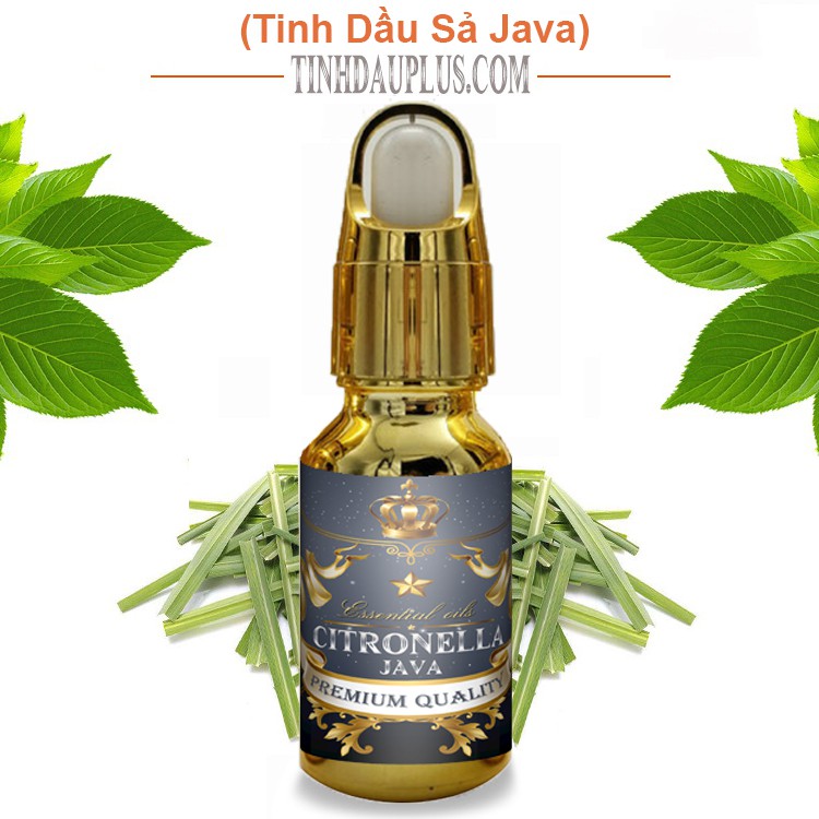 Tinh dầu sả Java Plus 20ml - Citronella Java EO nguyên chất thiên nhiên Ấn độ - Diệt muỗi, sạch da
