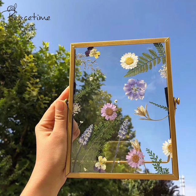 [ORDER] Khung kính hoa khô diy làm quà tặng✨ tặng bộ thiệp + hồ dán