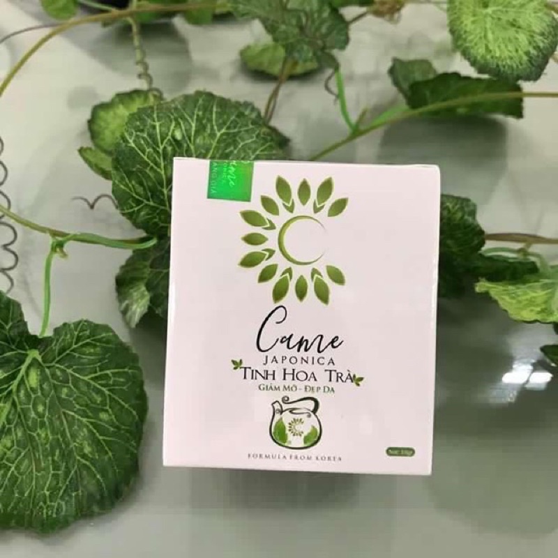 Trà giảm cân CAME JAPONICA