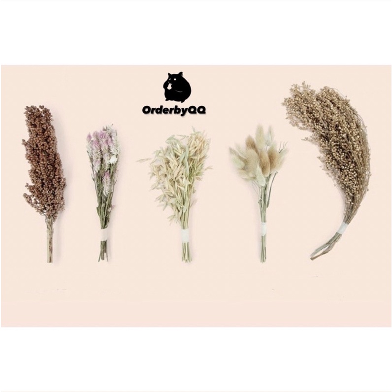 NITEANGEL Cành Cắm Ngũ Cốc Chuồng Hamster