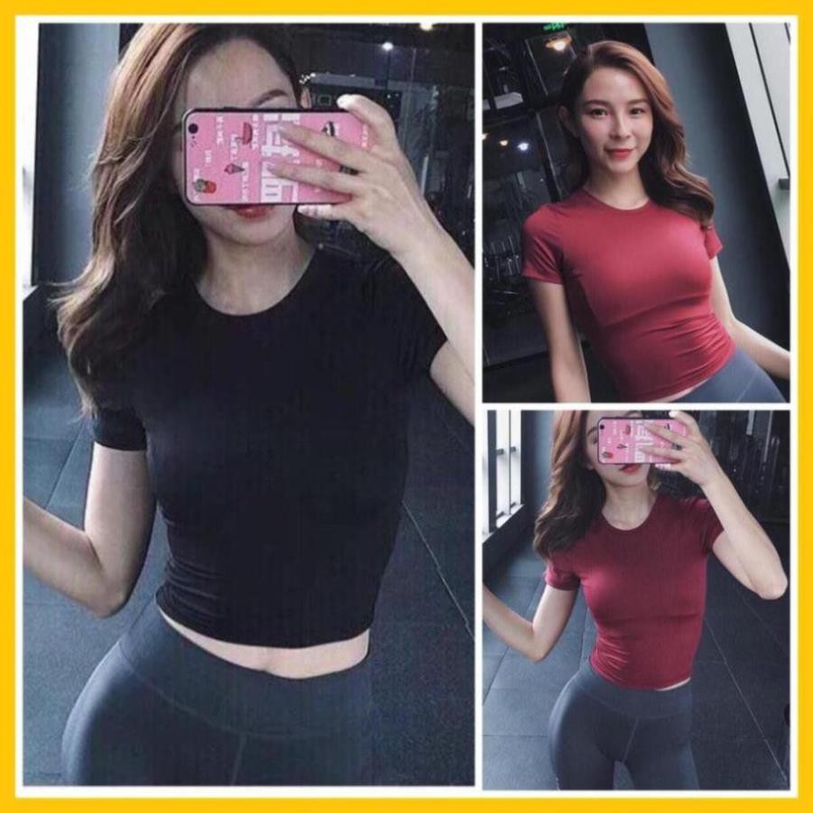 [EMMA] Áo Tập Gym Nữ Yoga [CROPTOP] Trơn Màu Basic Đa Dụng [ĐỒ TẬP]