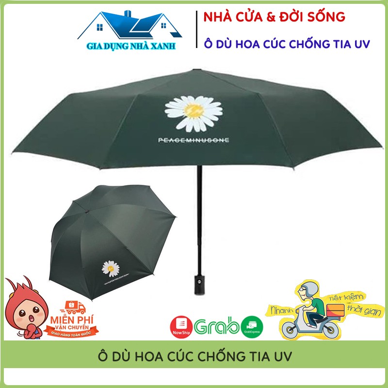 Ô Dù Chống Mưa Nắng Hoa Cúc Chống Tia UV Bảo Vệ Da, Dù Cúc Họa Mi - Hàng Mới Về Cực Đẹp