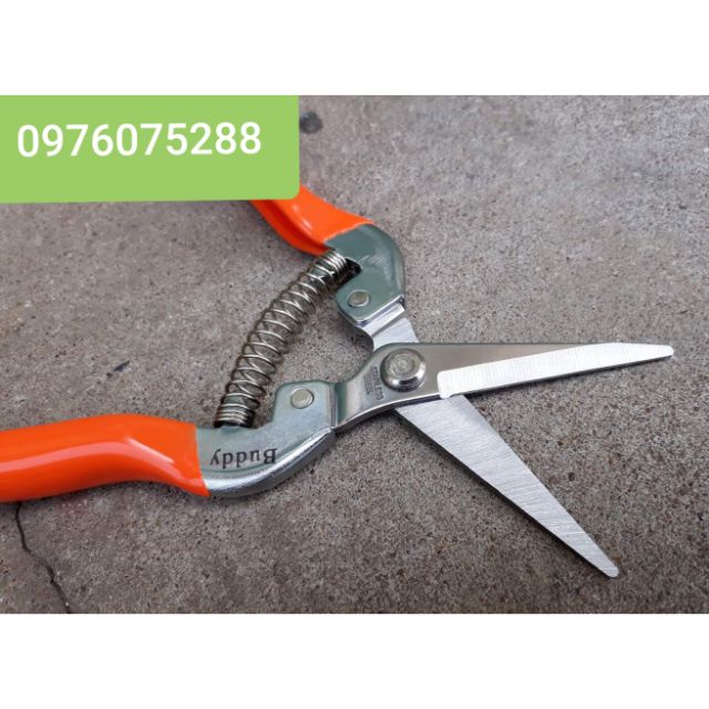 ✂️✂️✂️ Kéo tỉa dăm Buddy- Taiwan nhập chính hãng dài 190mm, mũi dài 70mm