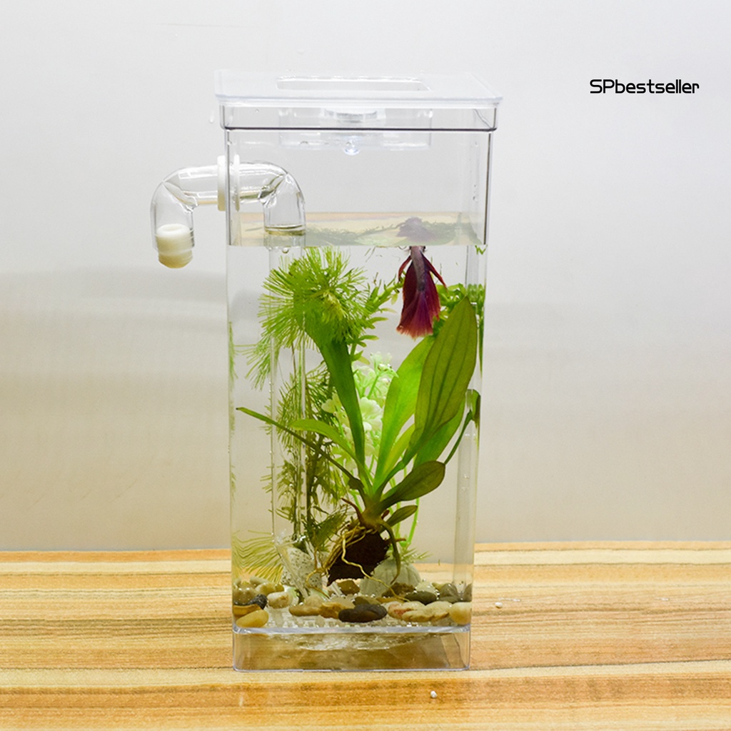 1 Bộ Bể Cá Mini Trong Suốt Tự Động Lọc Nước