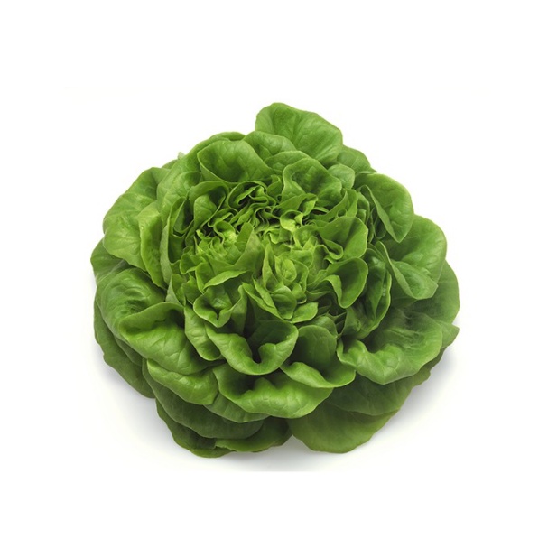 Hạt Giống Xà Lách Đăm - Xà Lách Hoa Hồng | SL: 2 GRAM