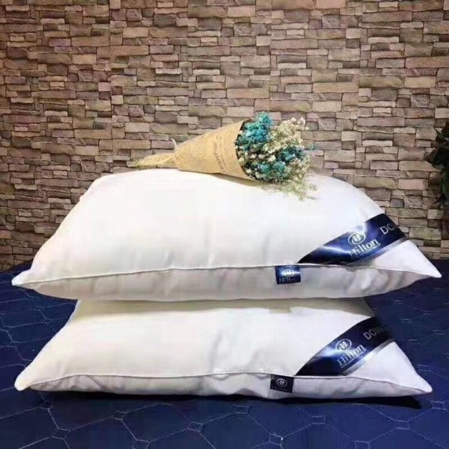 Cặp ruột gối lông vũ Hilton