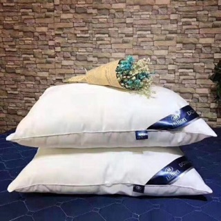 Cặp ruột gối lông vũ Hilton