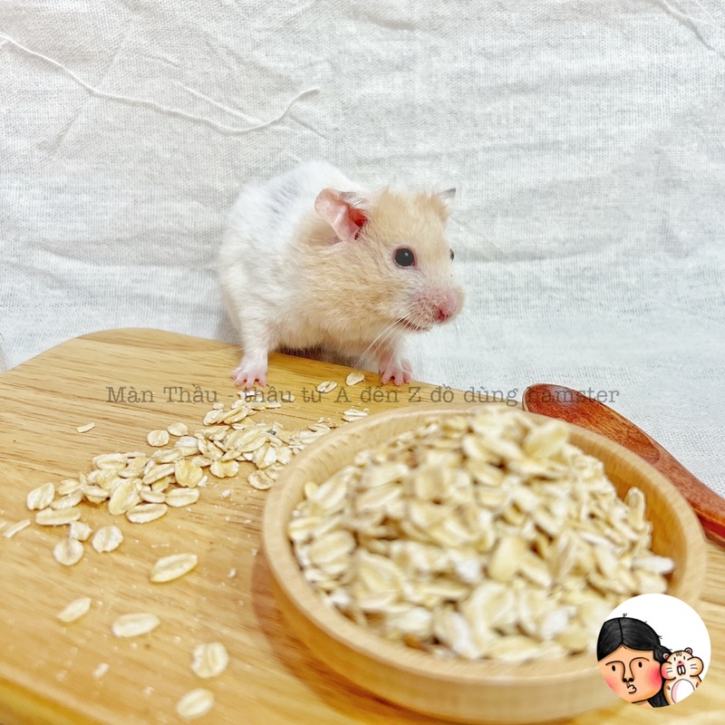Yến mạch cán dẹp dành cho Hamster