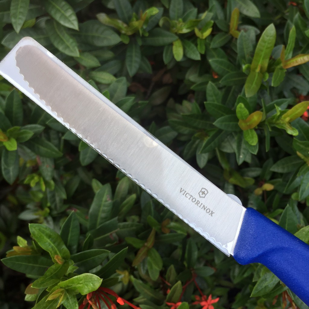Dao gọt hoa quả Victorinox cán cong lưỡi răng cưa 11cm Hàng Chính Hãng