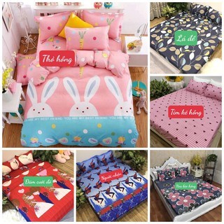 Bộ ga gối cotton poly nhiều mẫu, giá siêu tiết kiệm 1m6x2m G1255