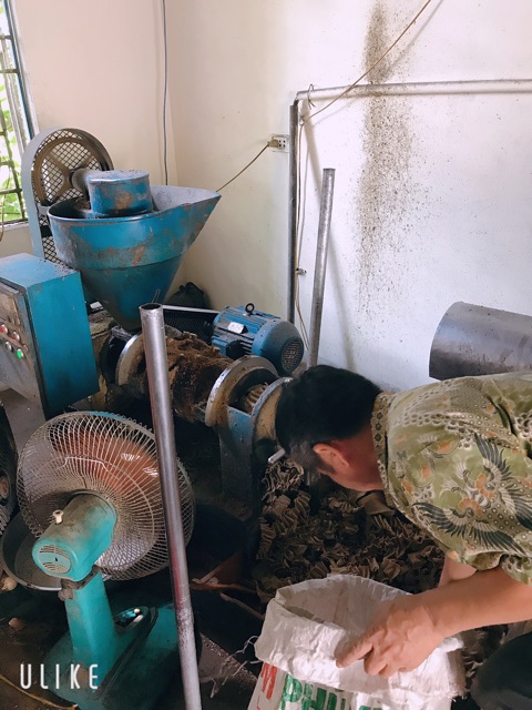 Dầu lạc  nguyên chất nhà ép.