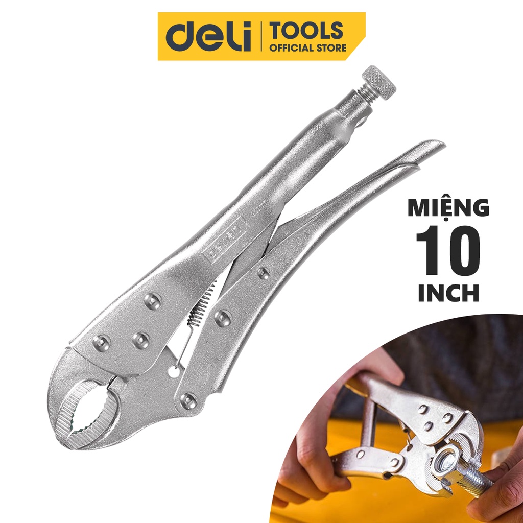 Kìm Bấm Chết Mỏ Cong Deli Cao Cấp Chính Hãng 10 Inch Miệng Tròn - Chất Liệu Siêu Bền, Chắc Chắn - EDL2001