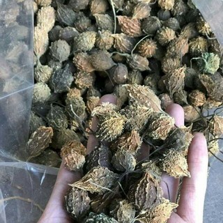 1kg trái khổ qua rừng (mướp đắng) thái lát và nguyên quả sấy khô