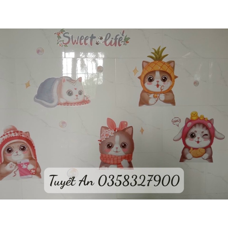 Decal dán tường mẫu Mèo Cute
