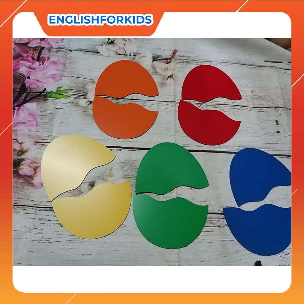 GC bộ 5 trứng khủng long, bộ trò chơi dạy học - English For Kid
