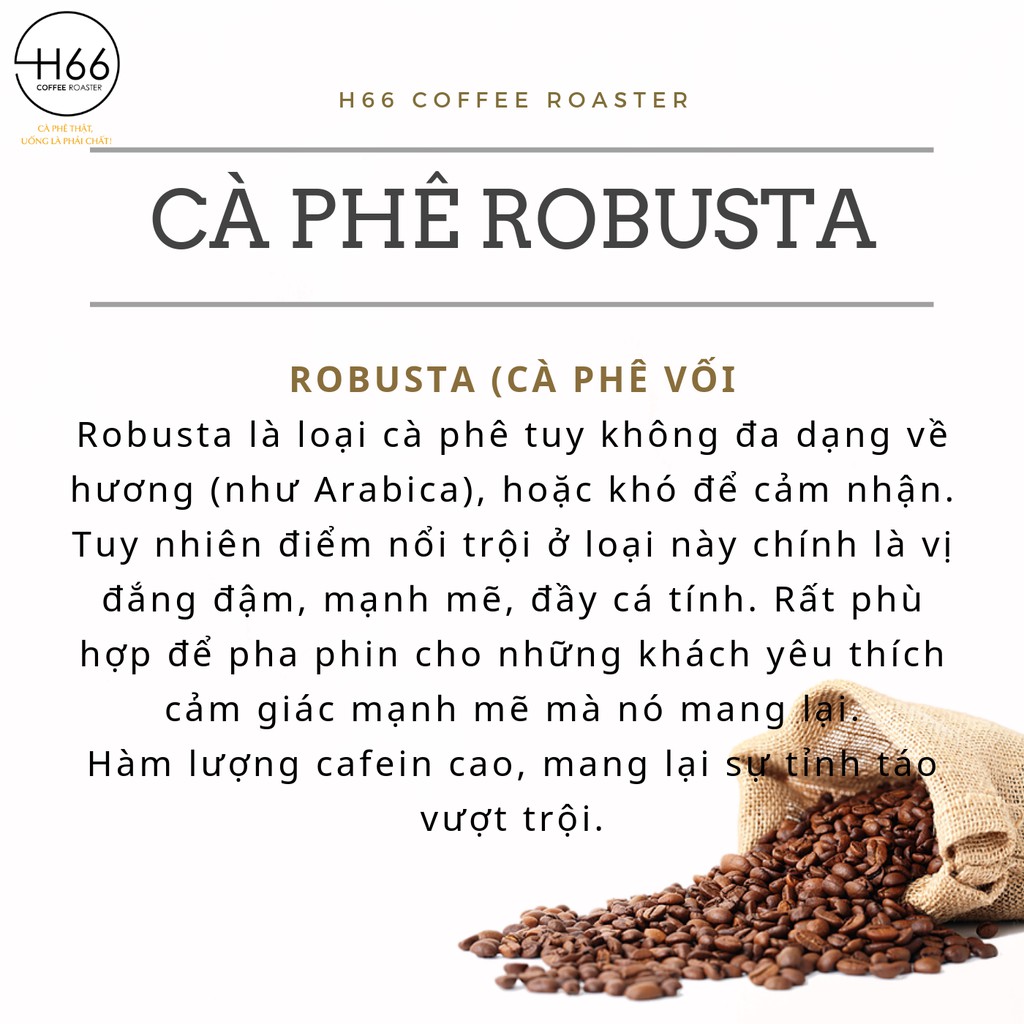 Cà phê Robusta Nguyên chất