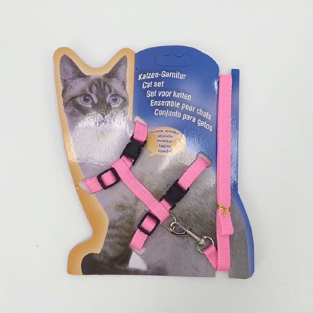 DÂY DẮT MÈO Đi DẠO