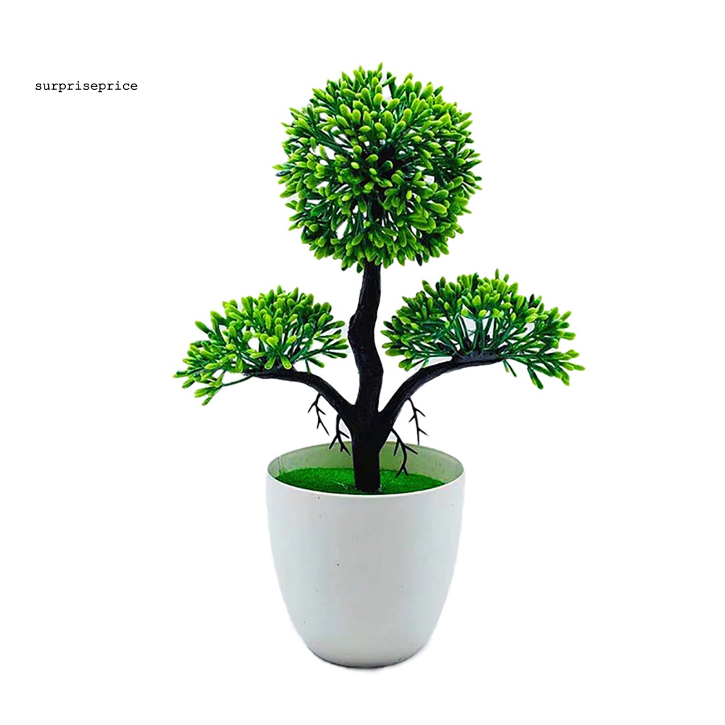 Chậu Cây Bonsai Giả Mini Trang Trí Nhà Cửa
