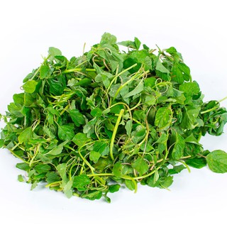 Hạt Giống Rau Dền Cơm gói 10 gam