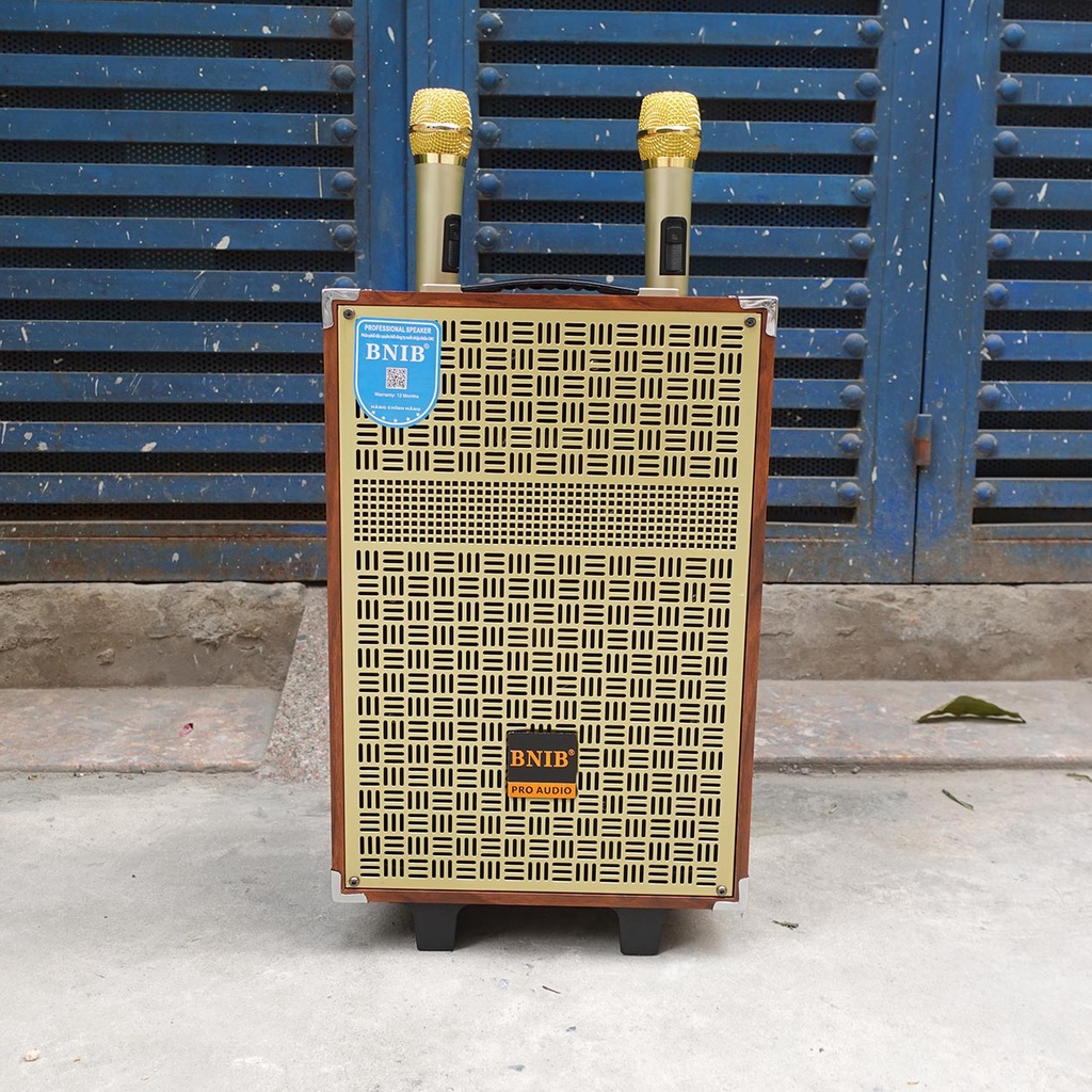 Loa kéo BNIB M10 bass 25cm  - Loa kéo Hát Karaoke kèm 2 Mic VHF Xịn | Bảo Hành 6 tháng