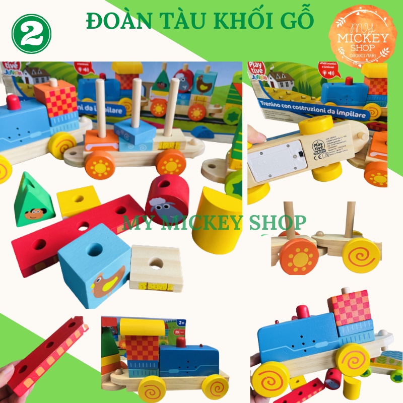 Bộ đồ chơi gỗ Giáo Dục Sớm Montessori 3 mẫu Thả Khối Gỗ, Thả Bi, Đoàn Tàu Gỗ cho bé từ 1 đến 3 tuổi