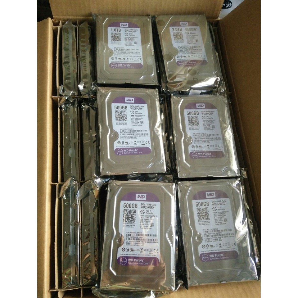 Ổ cứng HDD 1TB  PURPLE chuyên camera | BigBuy360 - bigbuy360.vn