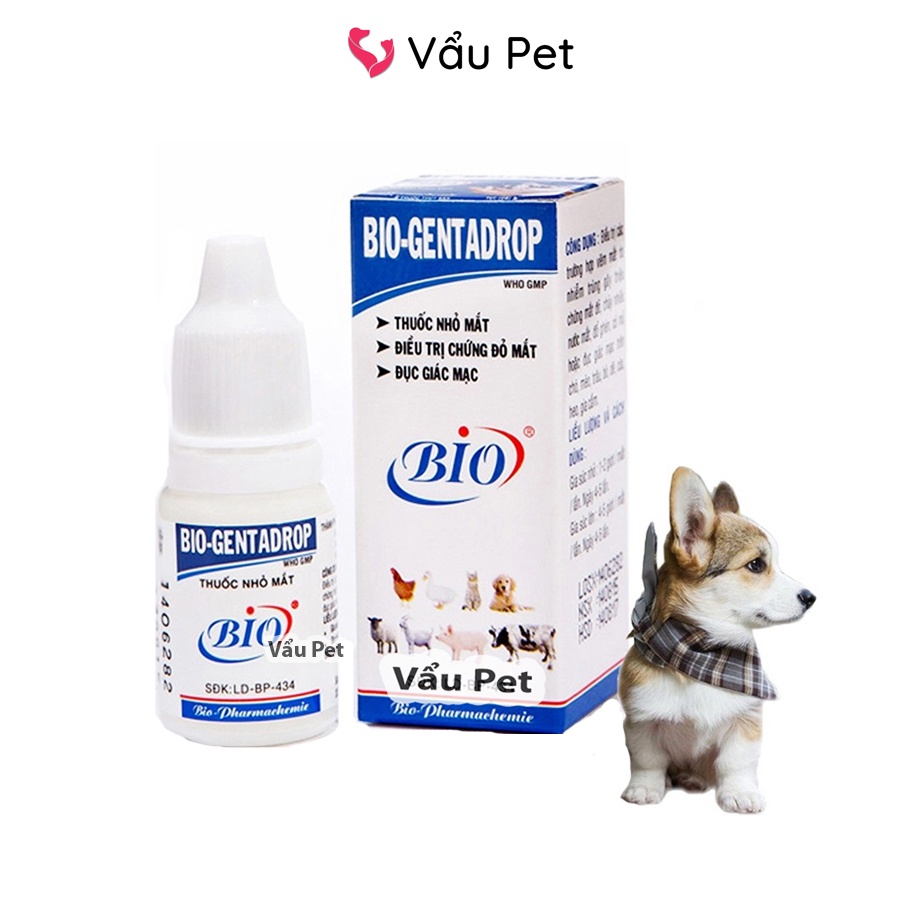 Dung Dịch Mắt Bio Gentadrop Cho Chó Mèo Nhỏ Mắt Cho Mèo Vẩu Pet Shop