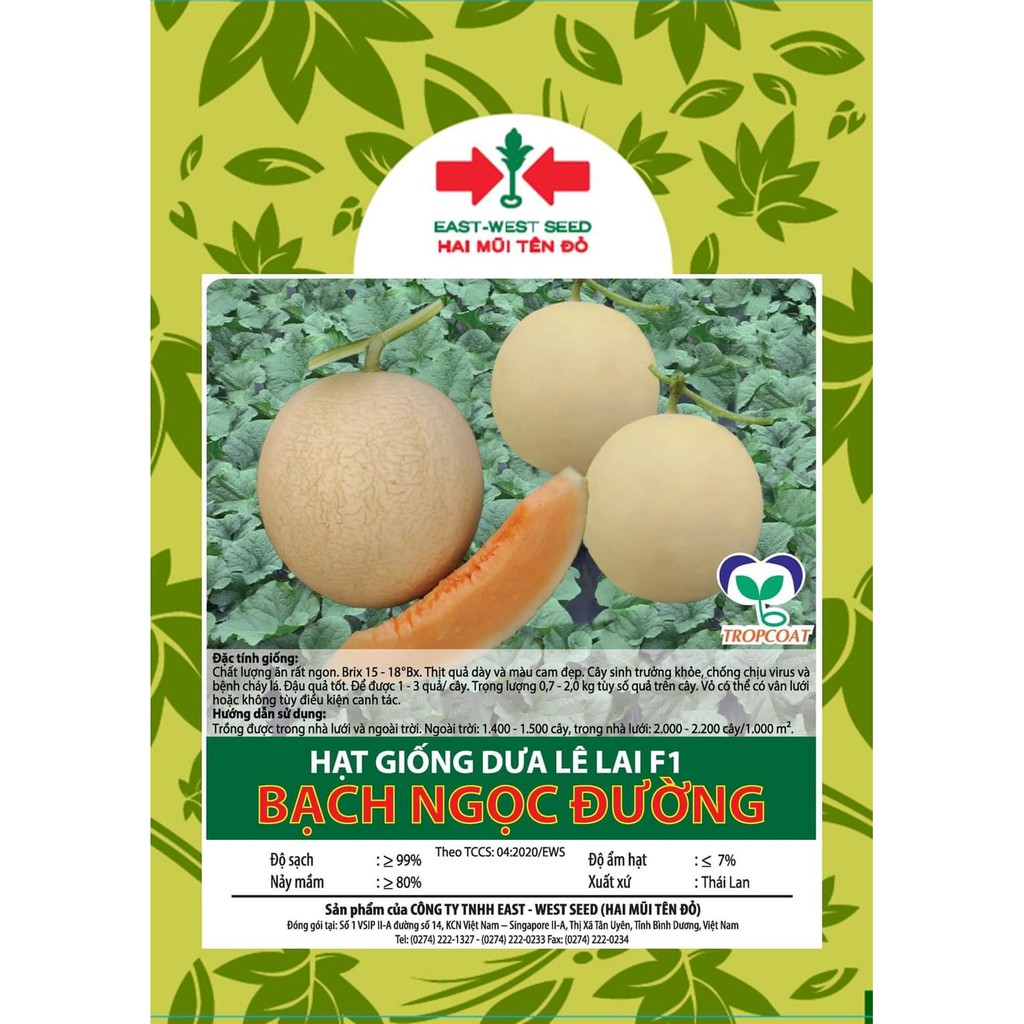 Hạt giống dưa lê lai F1 Bạch Ngọc Đường - HMTĐ (300 hạt)